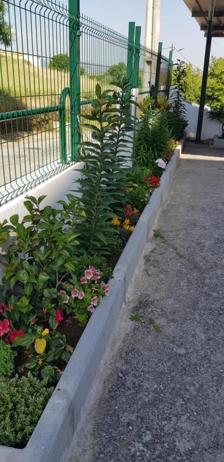 Ferrinho Hotel Guarda Kültér fotó